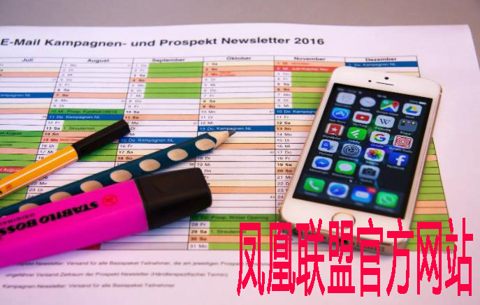 如何通过调整划水频率和幅度提升游泳速度？
